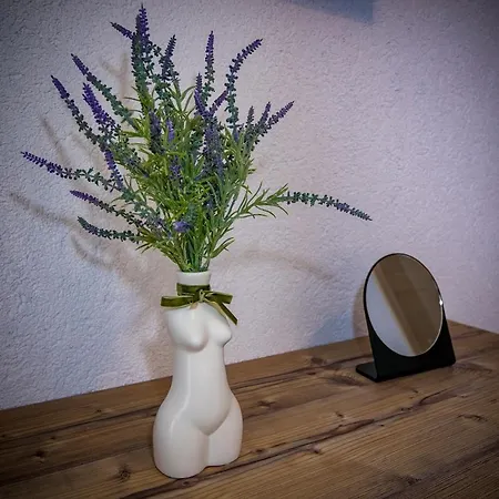 Casa Adiman Affittacamere Vama Veche