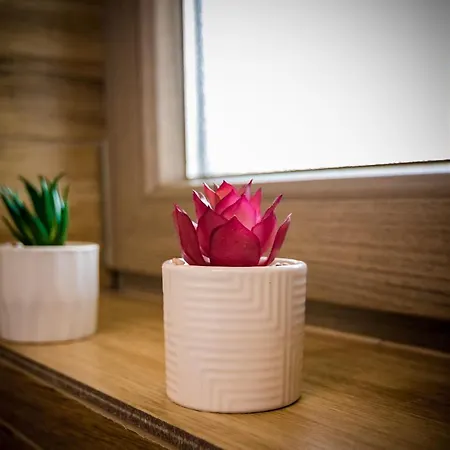 Casa Adiman 4* Vama Veche